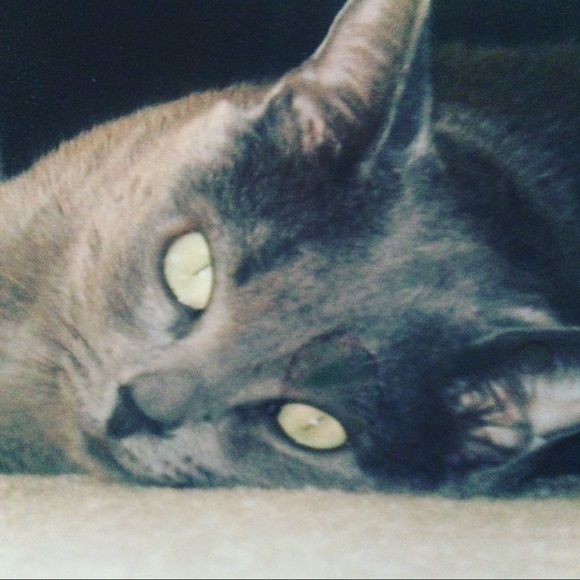 Meet your Posher, Monique - Picture 8 of 8